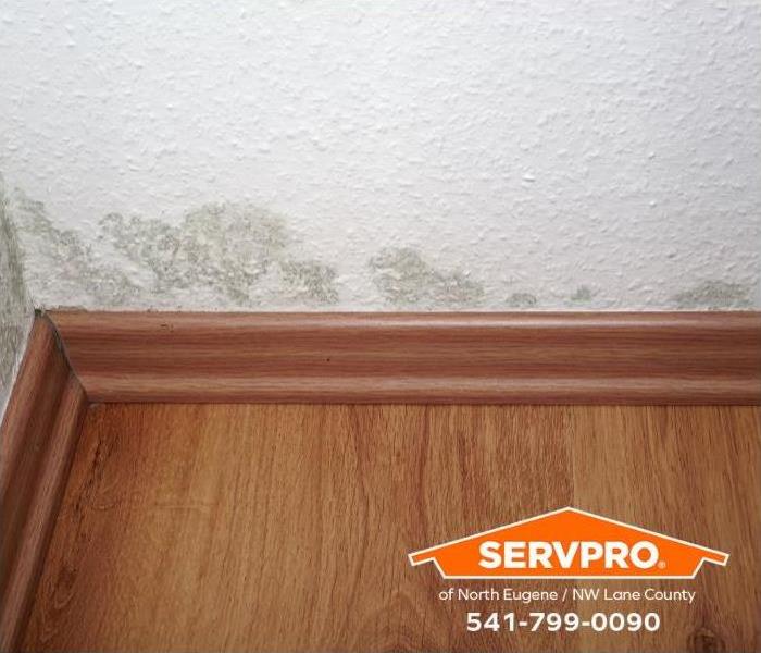 Hidden water damage is revealed by the presence of mold growth on the walls by the baseboards of a wooden floor.