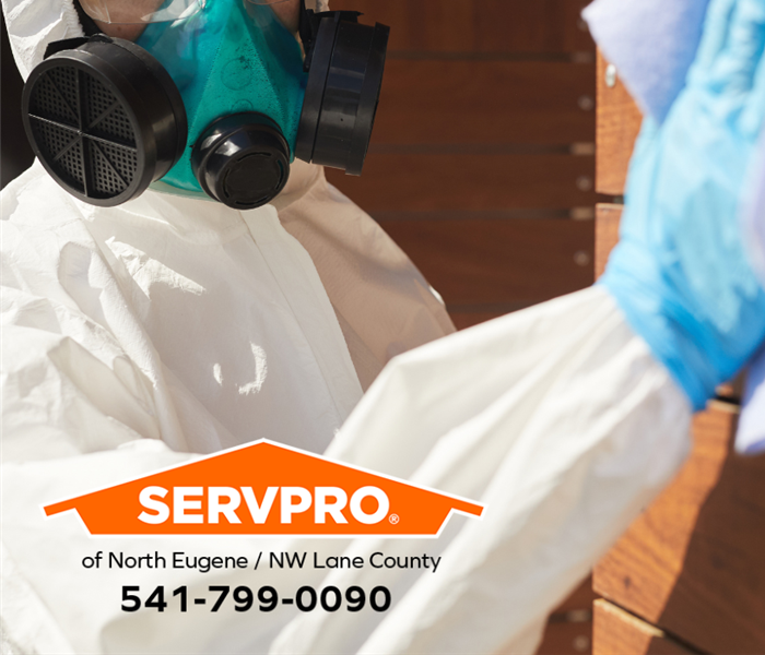 A mold remediation professional treats a surface to discourage mold growth.